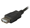 USB2.0 Typ A Buchse